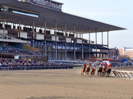Aqueduct race track
