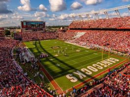 South Carolina - Gamecocks