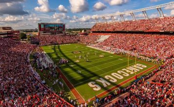 South Carolina - Gamecocks