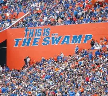THE FLORIDA GATORS