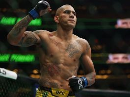 Alex Pereira Reclaims UFC Gold with Stunning Knockout Victory