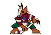 Committee Is Fully Formed With The Goal Of Bringing The NHL Back To Phoenix