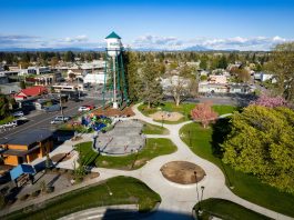 Investors Are Planning A Marysville SuperSonics NBA Expansion Bid
